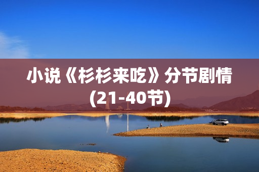 小说《杉杉来吃》分节剧情(21-40节)