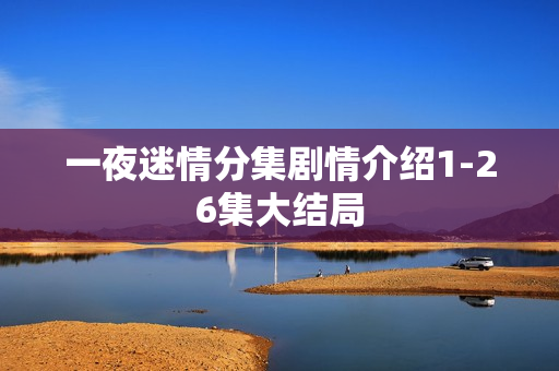 一夜迷情分集剧情介绍1-26集大结局