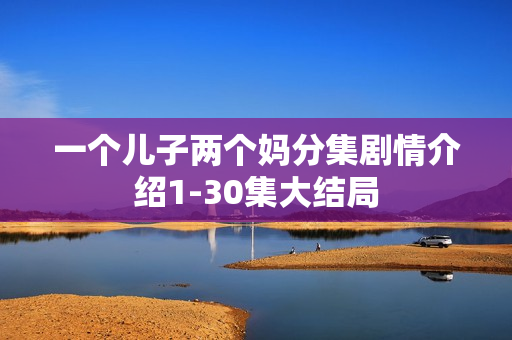 一个儿子两个妈分集剧情介绍1-30集大结局