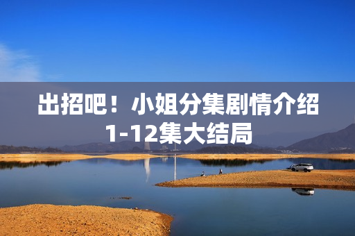 出招吧！小姐分集剧情介绍1-12集大结局