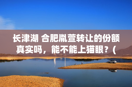 长津湖 合肥胤萱转让的份额真实吗，能不能上猫眼？(screenx 长津湖)