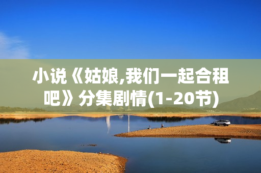 小说《姑娘,我们一起合租吧》分集剧情(1-20节)