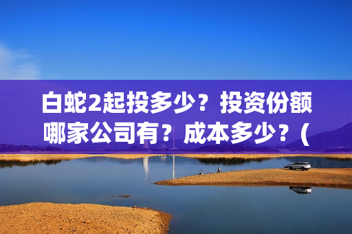 白蛇2起投多少？投资份额哪家公司有？成本多少？(白蛇2耗资)