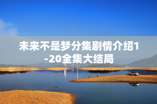 未来不是梦分集剧情介绍1-20全集大结局