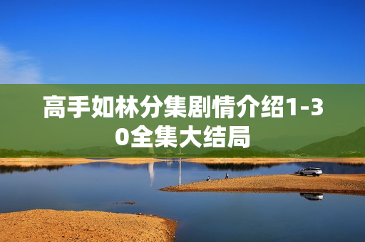 高手如林分集剧情介绍1-30全集大结局
