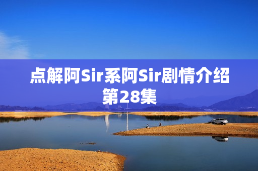 点解阿Sir系阿Sir剧情介绍第28集