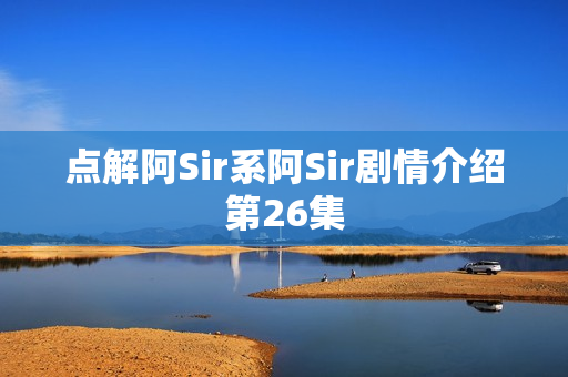 点解阿Sir系阿Sir剧情介绍第26集