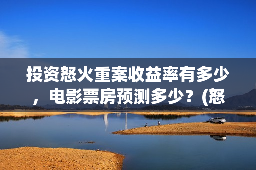 投资怒火重案收益率有多少，电影票房预测多少？(怒火重案投资的风险在哪里?)