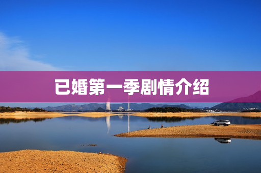 已婚第一季剧情介绍