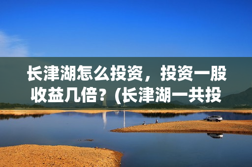 长津湖怎么投资，投资一股收益几倍？(长津湖一共投资多少钱)
