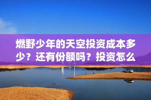 燃野少年的天空投资成本多少？还有份额吗？投资怎么参与？(燃野少年的天空和风犬少年的天空)