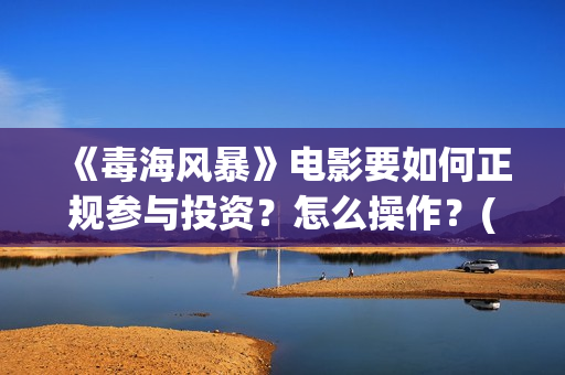 《毒海风暴》电影要如何正规参与投资？怎么操作？(毒海风暴有哪几个公司参与)