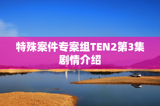 特殊案件专案组TEN2第3集剧情介绍