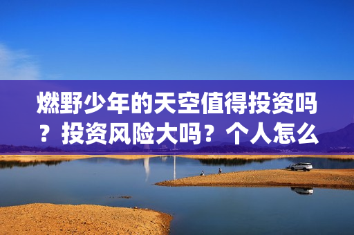 燃野少年的天空值得投资吗？投资风险大吗？个人怎么投资？(燃野少年的天空演员表介绍)