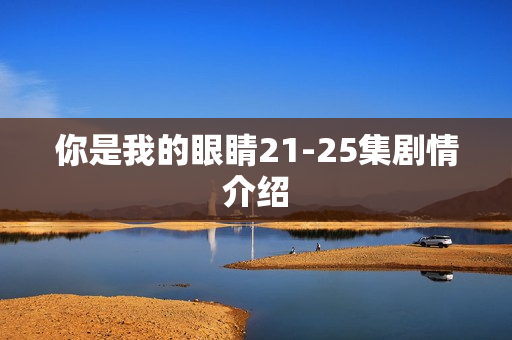 你是我的眼睛21-25集剧情介绍