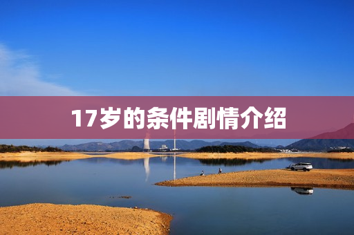17岁的条件剧情介绍