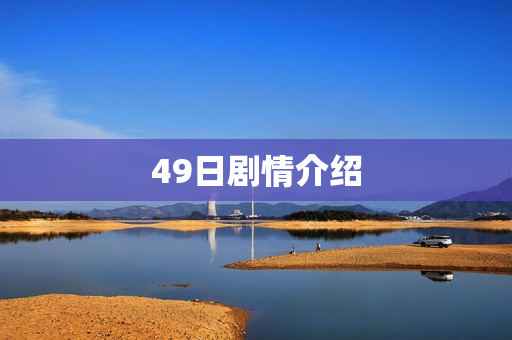 49日剧情介绍