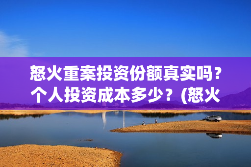 怒火重案投资份额真实吗？个人投资成本多少？(怒火重案投资的风险在哪里?)