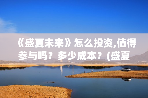 《盛夏未来》怎么投资,值得参与吗？多少成本？(盛夏未来ts)