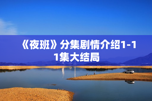 《夜班》分集剧情介绍1-11集大结局