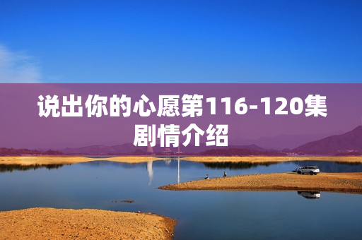 说出你的心愿第116-120集剧情介绍