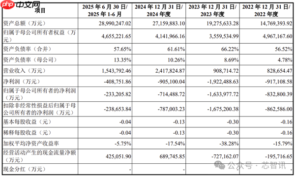 中国第一、全球第四！长鑫科技终于要上市了：TOP5客户首次披露
