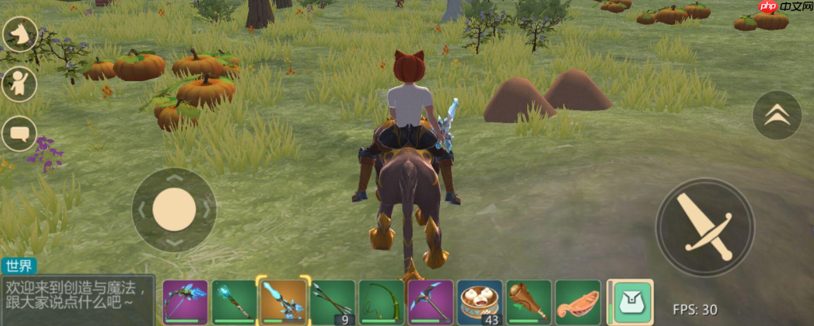 轻松驯服陆行鸟新手友好攻略