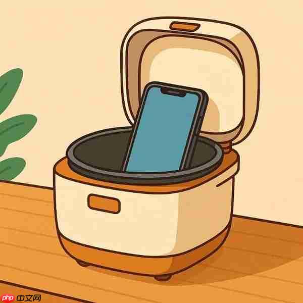 手机放电饭锅里 抢票成功率就会变高?