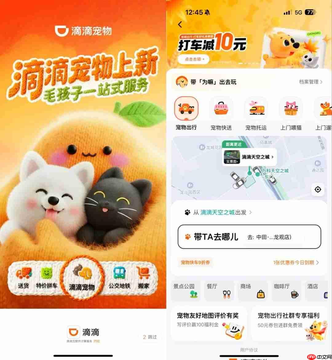滴滴上线“宠物服务”，涵盖出行、上门喂遛和洗护等