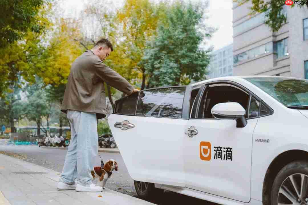 滴滴上线“宠物服务”，涵盖出行、上门喂遛和洗护等
