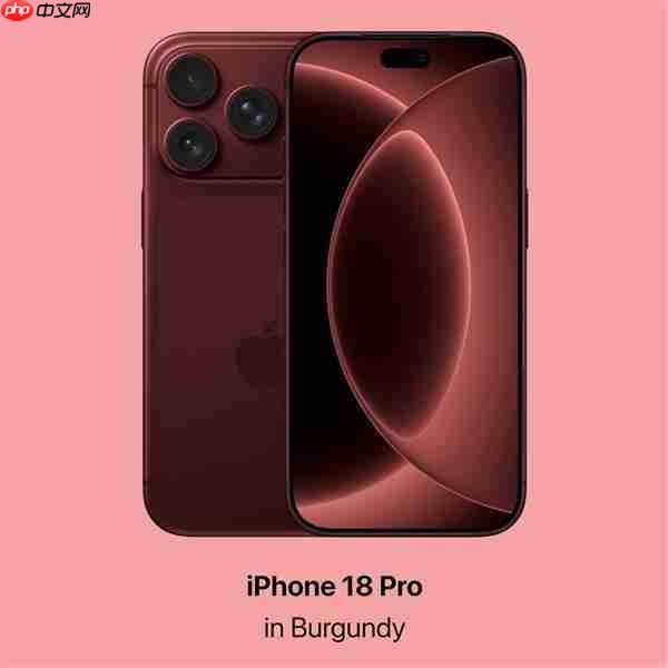 首发“灵动小岛”？iPhone 18系列被曝测试屏下Face ID