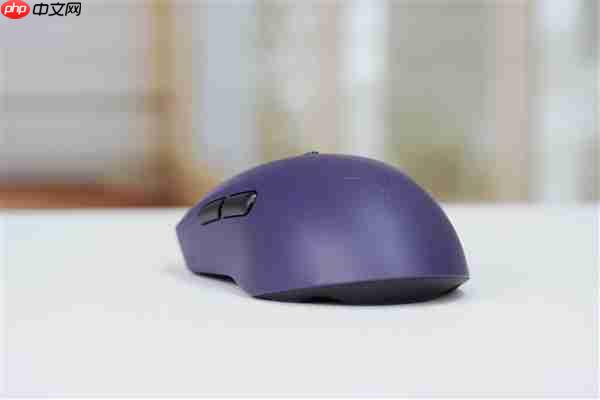 最快按键速度！雷柏VT9 MAX二代鼠标图赏