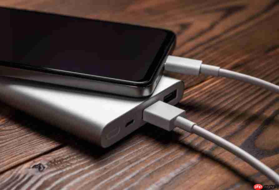 新国标倒计时：以后想买 9.9 的充电宝？难了