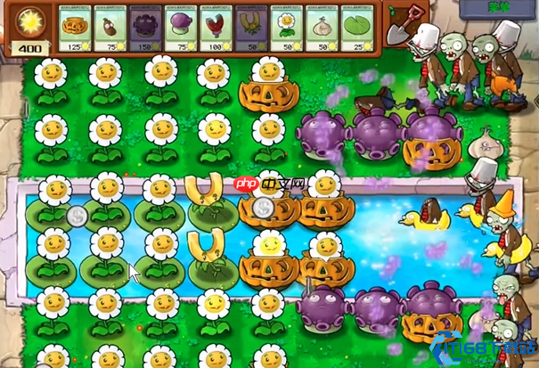 植物大战僵尸高效赚取金币全攻略