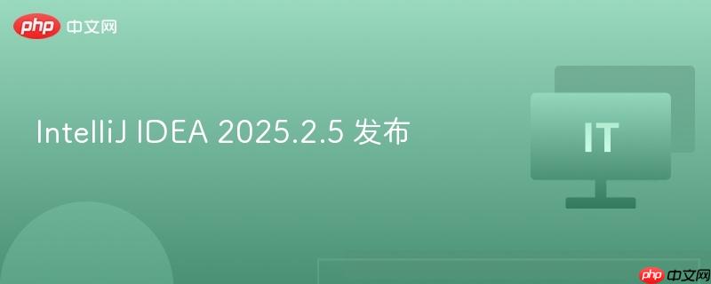 IntelliJ IDEA 2025.2.5 发布