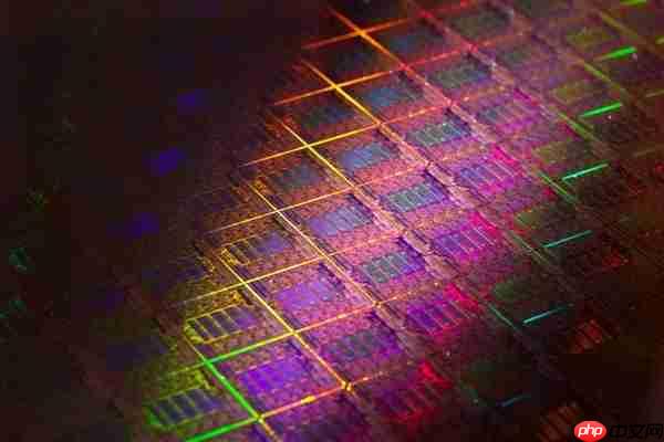 不硬扛了！荷兰：中止干预安世半导体