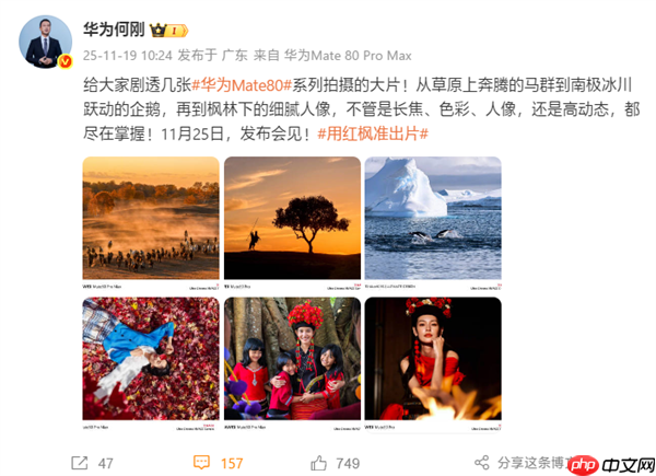 何刚晒华为Mate 80系列实拍样张：红枫影像色彩表现一绝