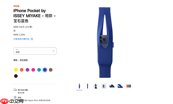 iPhone Pocket发布！网友：纯割韭菜