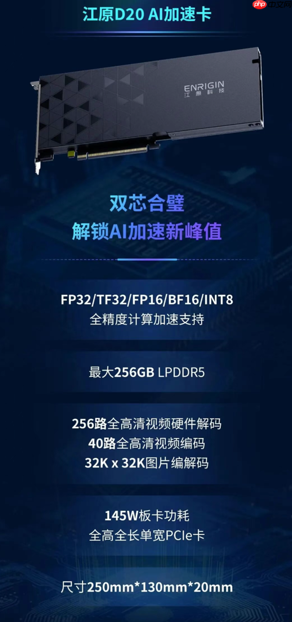 国内首款!江原D20 AI加速卡发布:全国产 速度提升40%
