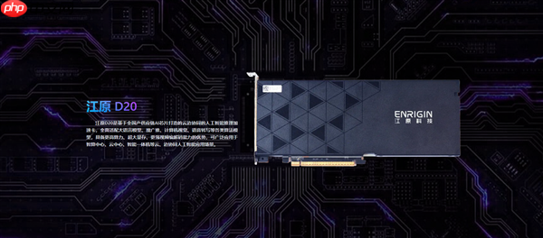 国内首款!江原D20 AI加速卡发布:全国产 速度提升40%