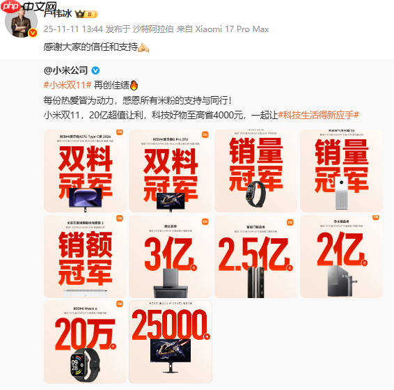 小米双11战报公布:多款产品获销量冠军 卢伟冰回应