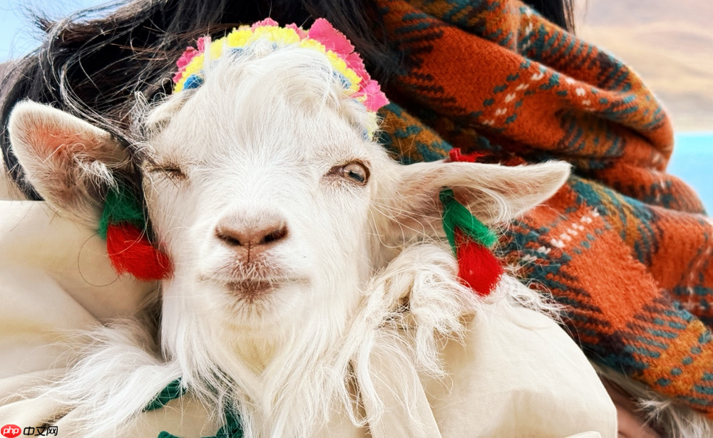 以青春之名赴西藏之约，高原之上留下“一生不忘”的青春回响