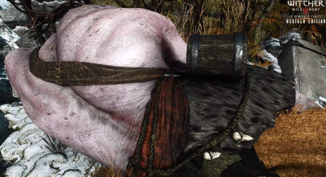 MOD大神再发力！《巫师3》高清重制版开发中 预计明年发布