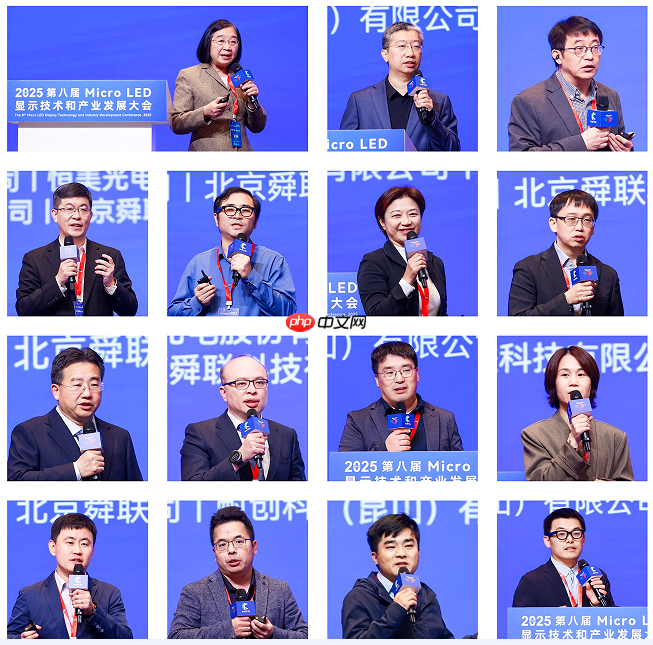 2025第八届MicroLED显示技术和产业发展大会圆满闭幕