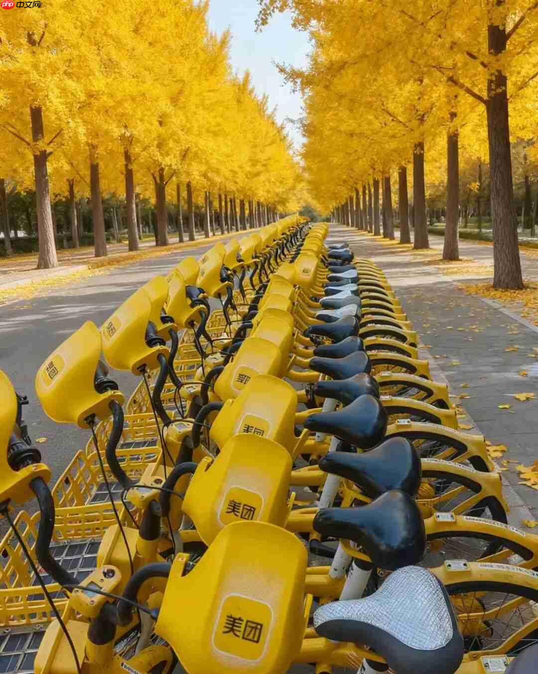共享单车再卷体验，美团、滴滴青桔、哈啰等用上“暖暖手套”