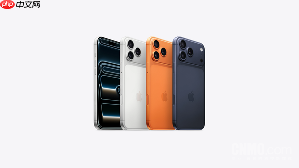 双11最新手机品牌销量累计榜出炉：小米和vivo进前三