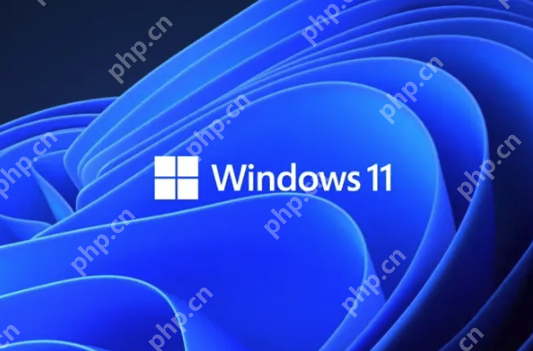 Win11第三方工具Flyoobe遭黑客篡改：伪造官网植入木马