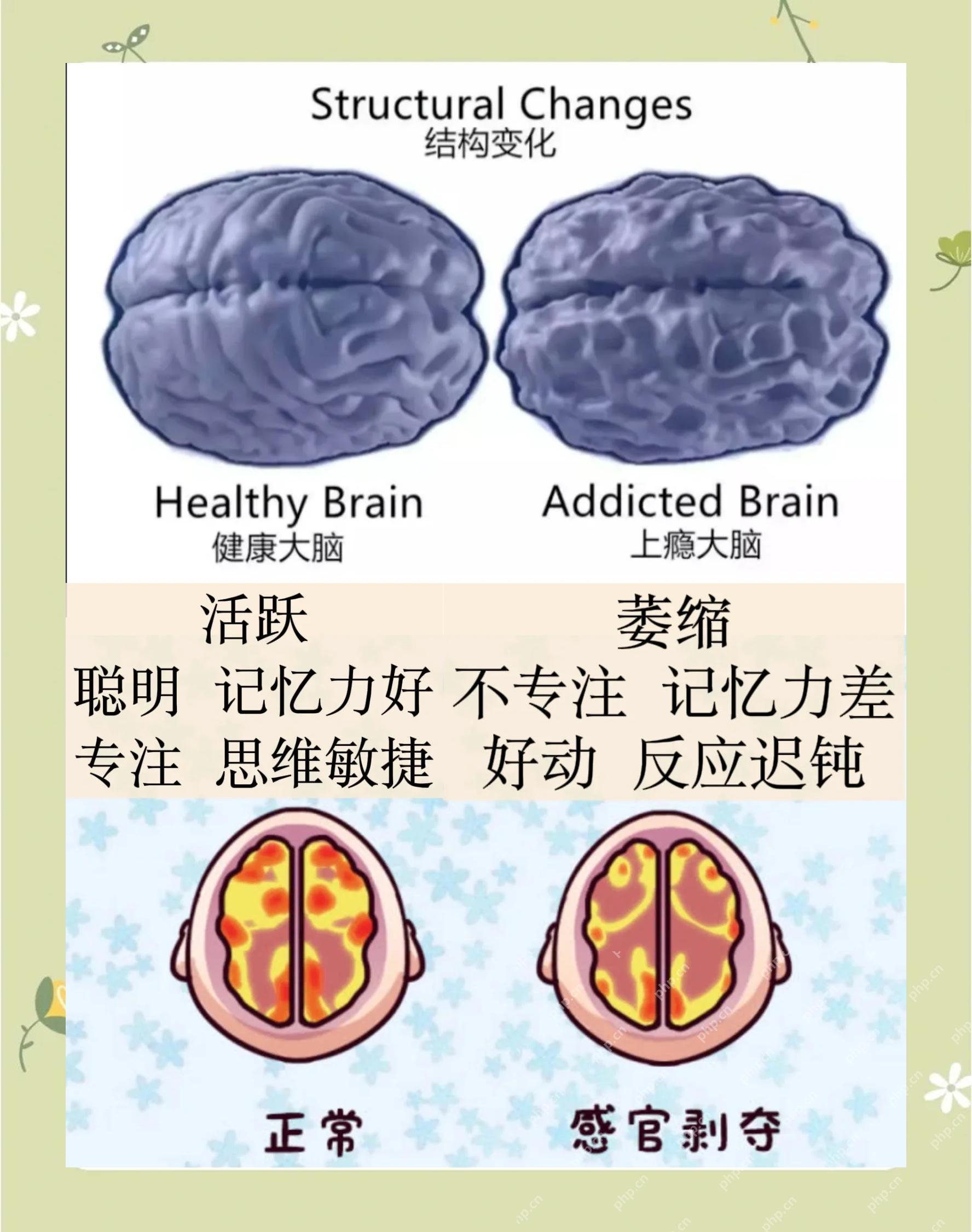 运动与电子屏幕使用方式影响青少年大脑发育