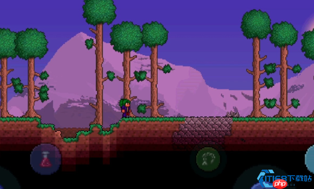 硫磺海生存指南：灾厄世界的腐蚀深渊与宝藏前线