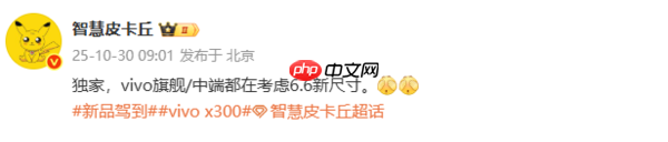 曝vivo X300 Ultra配6.8英寸屏 中端新机测试6.6英寸？